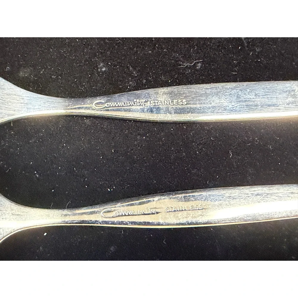 Community Stainless Relish Fork and Mint Spoon Set - Oneida - Frost Fire Design